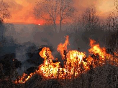 Aree Percorse dal Fuoco